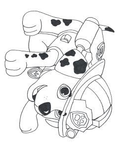 021